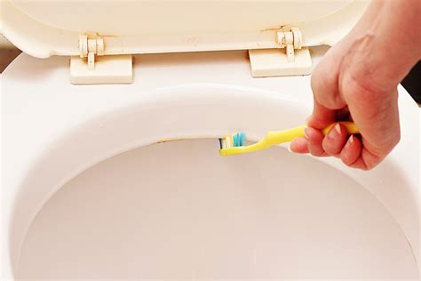 * How to Clean Toilet Jets (Bacteria, Minerals & Other Debris) - Bathroom World