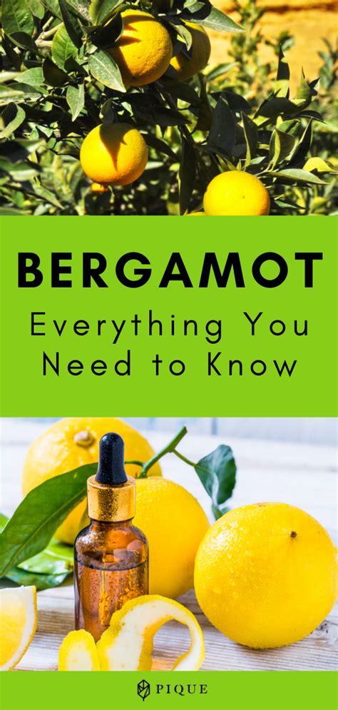 Everything You Need to Know About Bergamot | PIQUE | Bergamot benefits ...