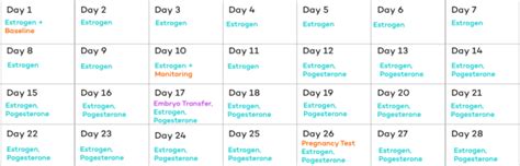 The IVF Process - Everything You Need to Know - CNY Fertility