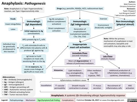 Anaphylaxis: Pathogenesis | Calgary Guide