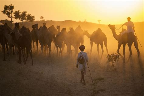 Nomads in India | National geographic, Travel photography inspiration, Shot photo