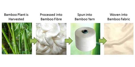 How to Make Paper Pulp from Bamboo? | Bamboo Pulper Machines