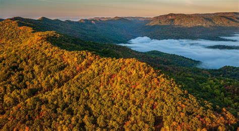 The Cumberland Forest Project in Kentucky and Tennessee