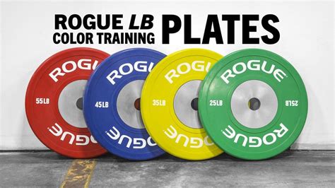 Bumper Plates of the Gods | Rogue fitness, Crossfit garage gym, Gym