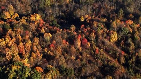 Pa. fall foliage: Some parts of Pennsylvania peaking in color