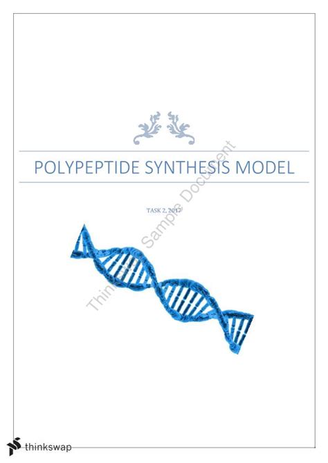 Polypeptide Synthesis | Biology - Year 12 HSC | Thinkswap