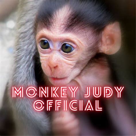 Monkey Judy