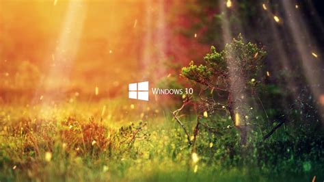 Nature Windows 10 FHD 1080p Wallpaper Engine - YouTube