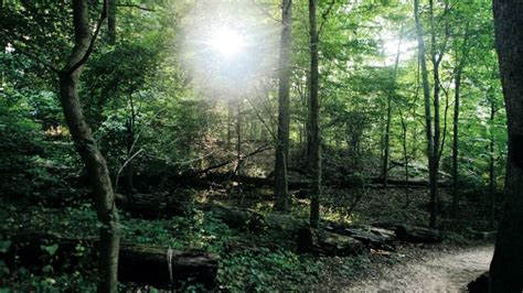 Rock Creek Park - Washingtonian