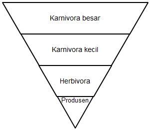 Perhatikan gambar piramida ekologi berikut!