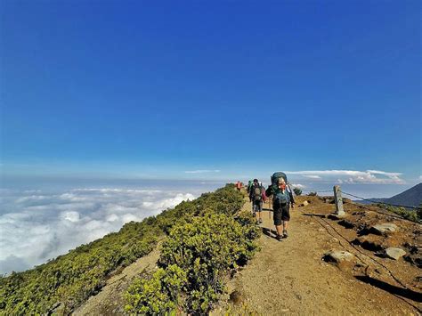 Gunung Gede Pangrango berada di dekat Gunung Putri Bogor @gedepangranggo - Pergimulu.com