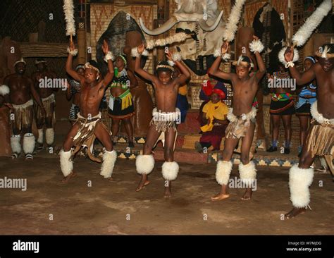 Zulu dance hi-res stock photography and images - Alamy