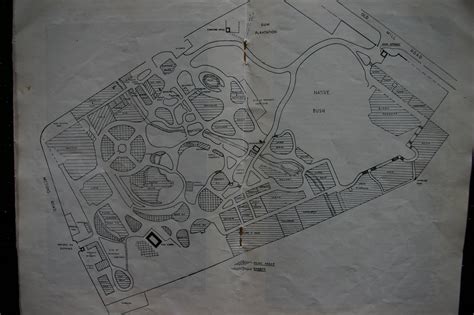 Auckland Zoo map, c. 1960 - ZooChat