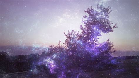 Tree surrounded by purple fog HD wallpaper | Wallpaper Flare