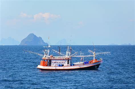 Everything You Need to Know About Fishing Vessels | Vessel, Fishing boats, Pelagic fish