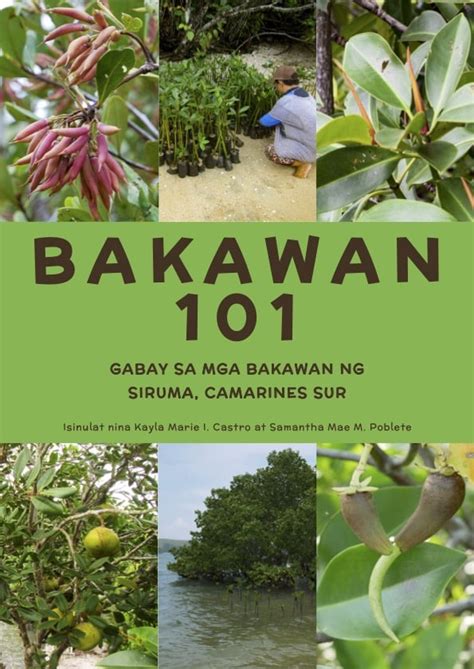 Bakawan 101: Gabay sa mga Bakawan ng Siruma, Camarines Sur (2nd Edition) - Forest Foundation ...