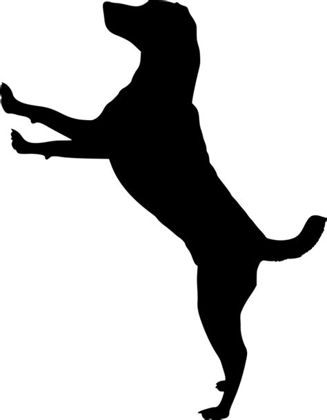 Cat Pet Silhouette Jack Russell Terrier Puppy - dog Run png download - 560*720 - Free ...