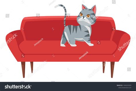 Domestic Animals Pet Cat Over Couch Stock Vector (Royalty Free) 1434253325 | Shutterstock