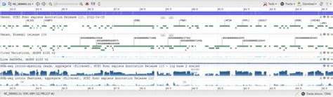 Best bioinformatics tools for beginners