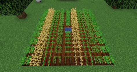 Guide to Farming in Minecraft