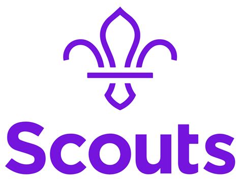 scout-logo – On The Spot Internet