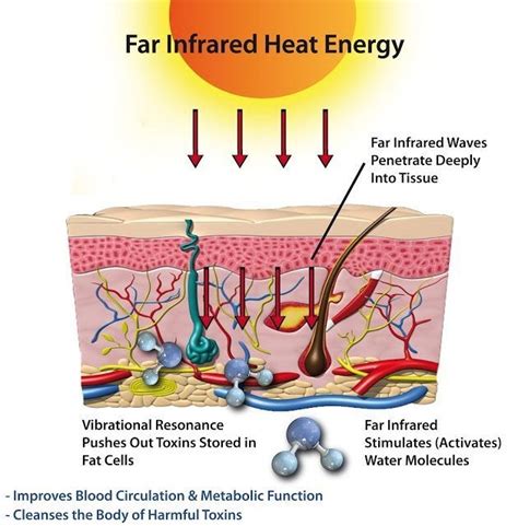 Far Infrared Therapy