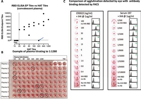 Titration of antibodies in the agglutination assay A Eighteen plasma... | Download Scientific ...