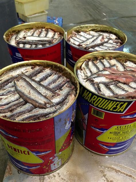 Cantabrian Anchovy IV: It is ready!! - Blog de Conservas Olasagasti