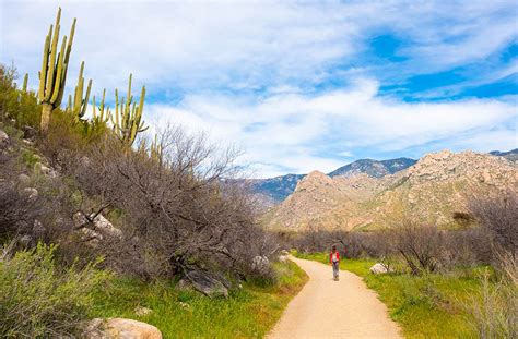 Catalina State Park - Visitor Center | Visit Arizona