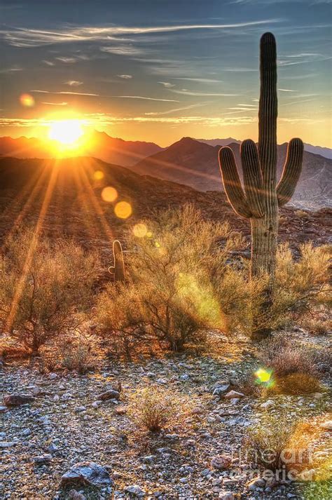 Desert Sunset by Eddie Yerkish | Desert sunset, Sunrise, Nature