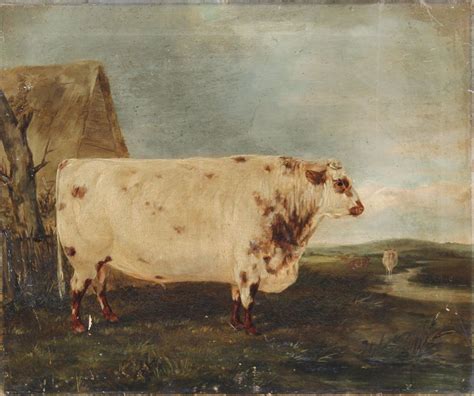 Cow Painting on Canvas