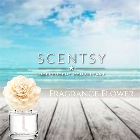 Scentsy Fragrance Flower in 2020 | Scentsy, Scentsy fragrance, Scentsy uk