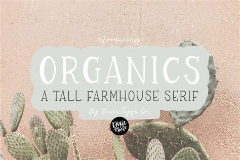 55+ Best Farmhouse Fonts (FREE / Premium) 2024 | Hyperpix