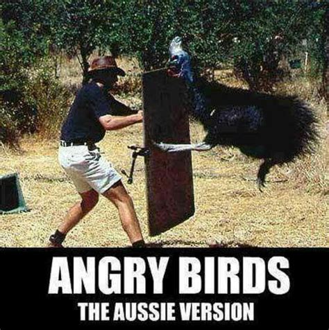 Cassowary are really scary | Australia funny, Meanwhile in australia, Aussie memes