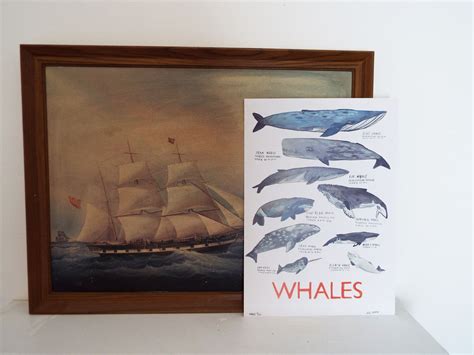 Whale Poster - Etsy