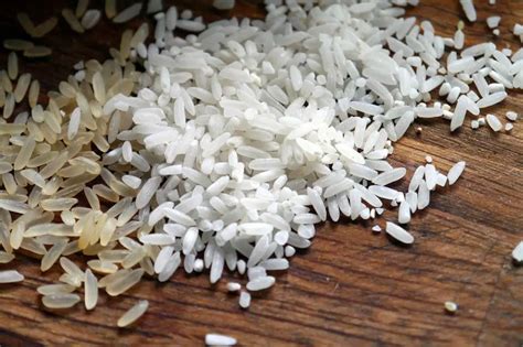 How-to-grow-rice | Environment Buddy