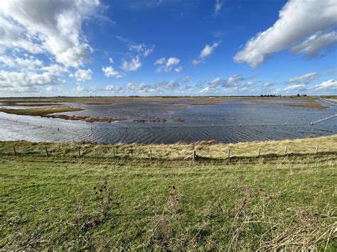 Positioning rewilding at RSPB's Frampton Marsh reserve