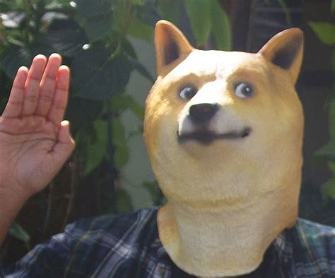 Doge Mask