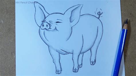 How to Draw a Cute Pig Step by Step | Pig pencil drawing - YouTube