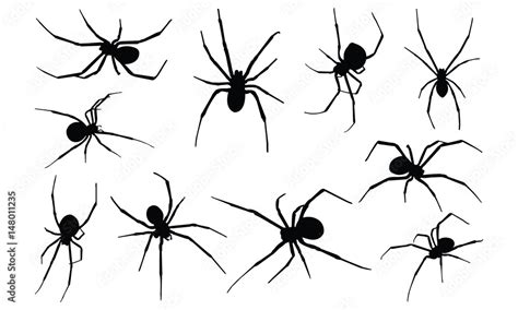 Black widow spider Silhouette vector illustration Stock Vector | Adobe ...