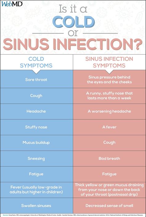 Cold vs sinus infection | Sinus infection, Sinus infection symptoms ...