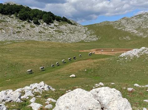 Top 20 Hikes and Walks around National Park of Abruzzo | Komoot