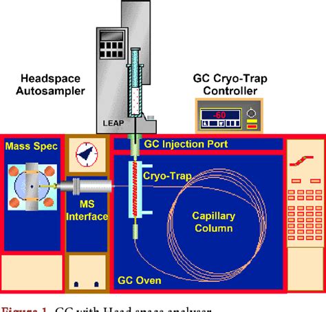 Applications Of Gas Chromatography Various Design | gbu-presnenskij.ru