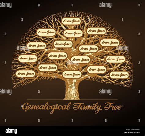 Genealogical family tree. Dynasty. Vector illustration Stock Vector Image & Art - Alamy