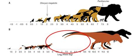 We Finally Know Why Dinosaurs Were Either Humongous or Tiny, Unlike ...