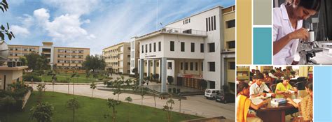 AU Hyderabad : Admission 2024, Courses, Fees, Placement, Cut Off