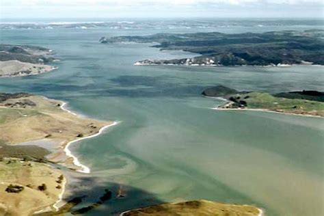 Major project to address Kaipara Harbour sediment - Local Matters