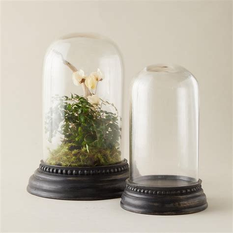 Glass Cloche - Bell Jars for Indoor Gardening