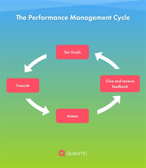 Build an Effective Performance Management Process in 5 Steps - The Quantic Blog