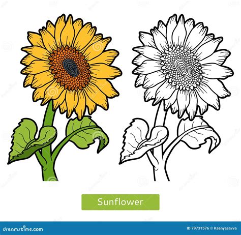 Girasoles Dibujos Para Colorear | The Best Porn Website